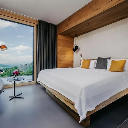 Luisenhoehe - Gesundheitsresort Schwarzwald ホテル